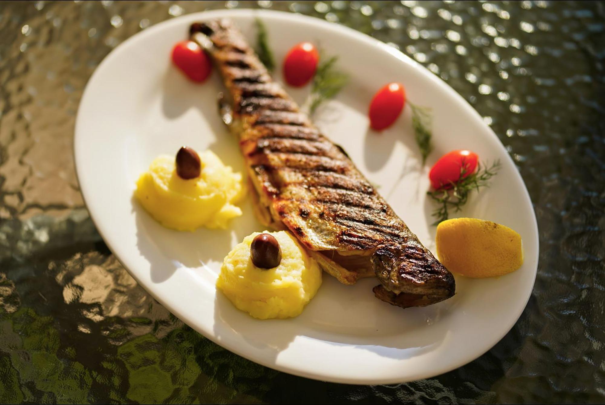 Guest House Wishmore بانيا المظهر الخارجي الصورة